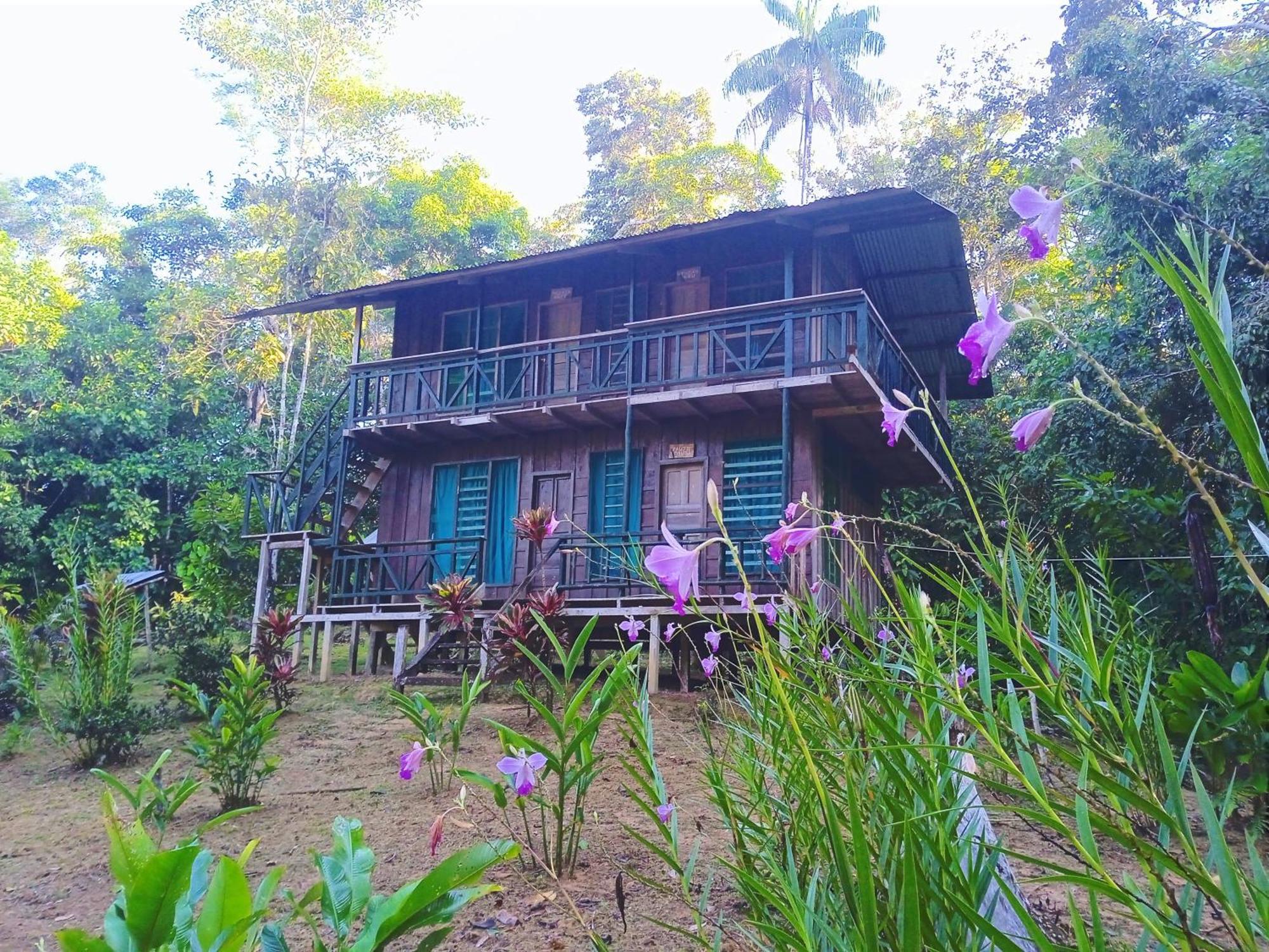 Cabanas Eco Logicas Mu'Ue Loreto Mocagua エクステリア 写真