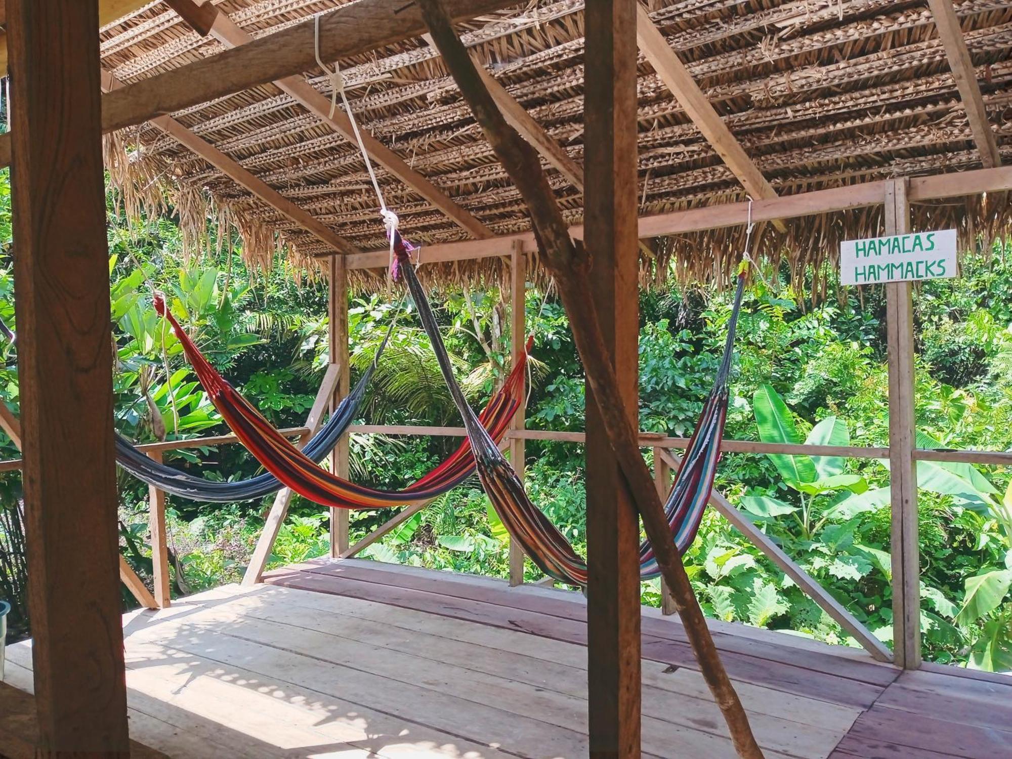 Cabanas Eco Logicas Mu'Ue Loreto Mocagua エクステリア 写真