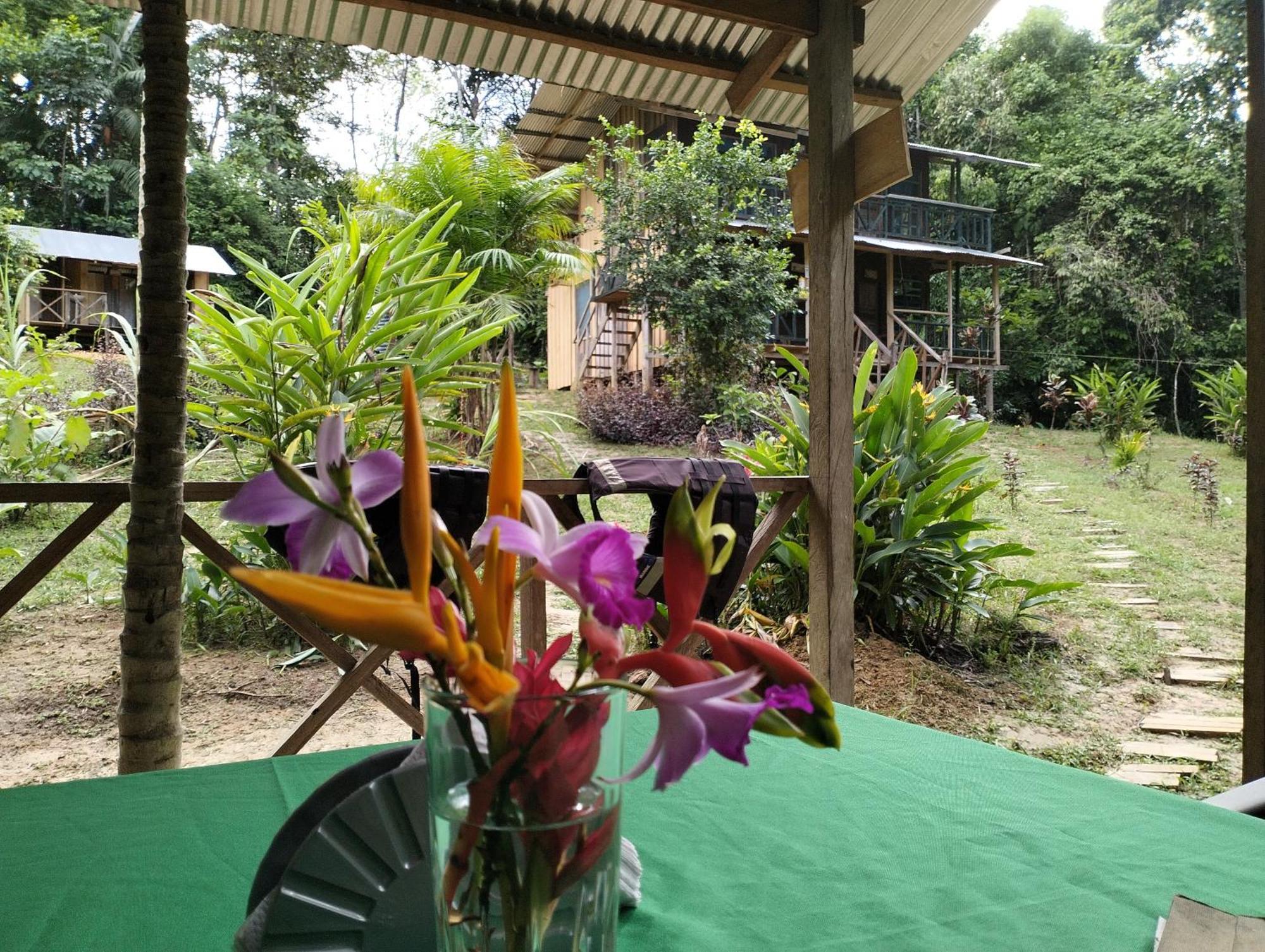 Cabanas Eco Logicas Mu'Ue Loreto Mocagua エクステリア 写真