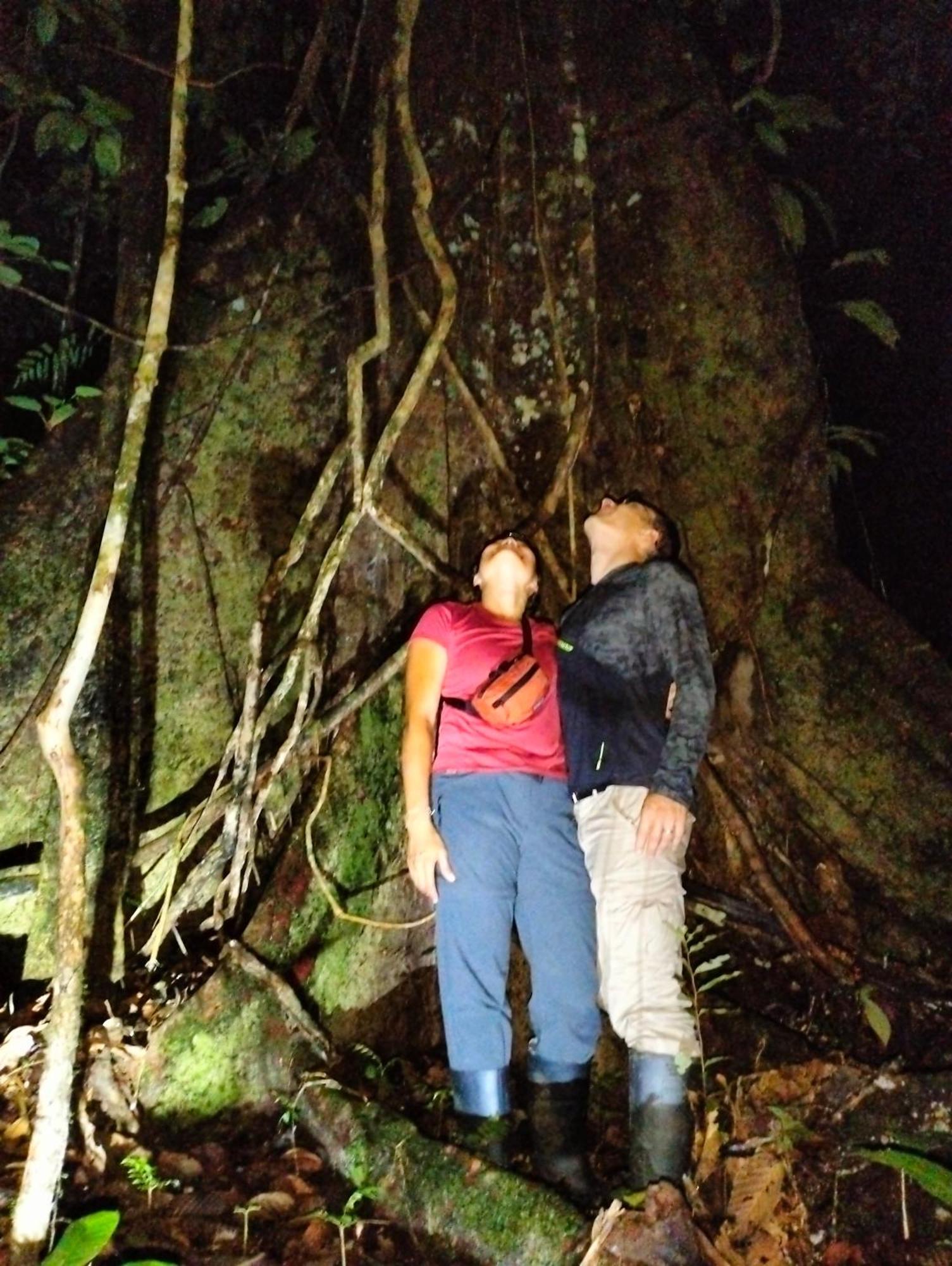 Cabanas Eco Logicas Mu'Ue Loreto Mocagua エクステリア 写真