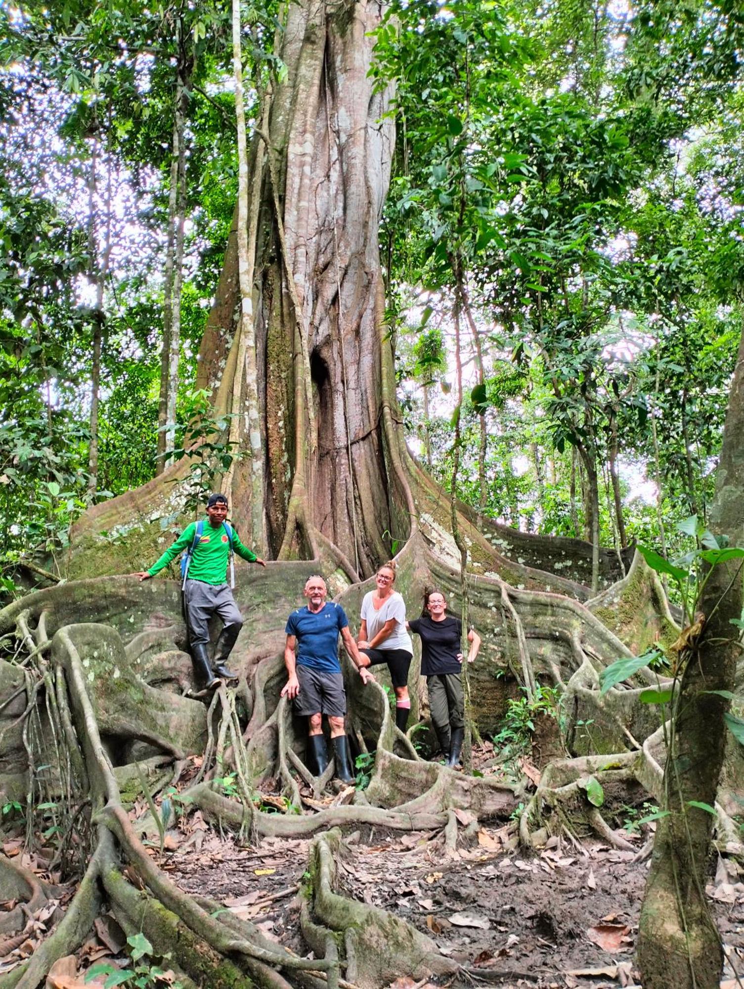 Cabanas Eco Logicas Mu'Ue Loreto Mocagua エクステリア 写真